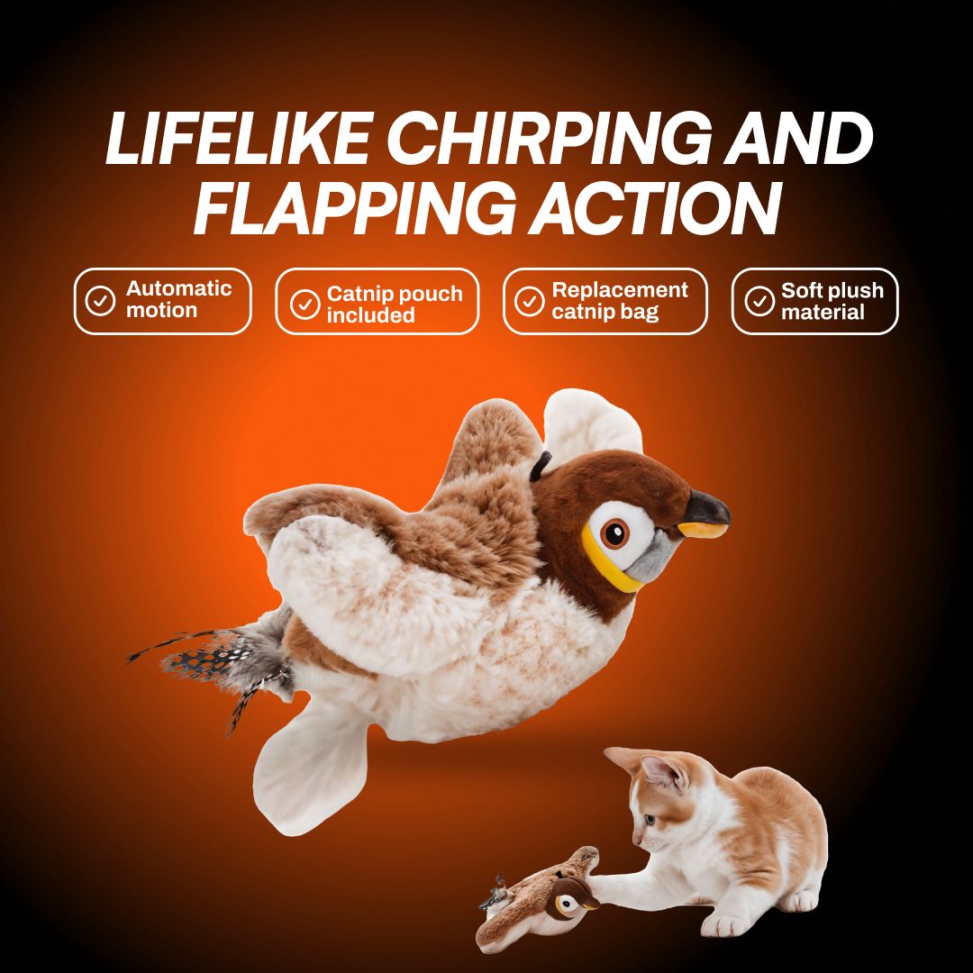 Flying Bird Cat Toy™